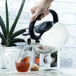 Czajnik nierdzewny Tadar Vita 2,5 l srebrny połysk