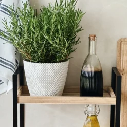 Karafka szklana z korkiem Tadar Liso 480 ml