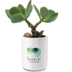 Pojemnik ceramiczny uniwersalny Tadar Natural 700 ml