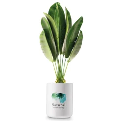 Pojemnik ceramiczny uniwersalny Tadar Natural 700 ml