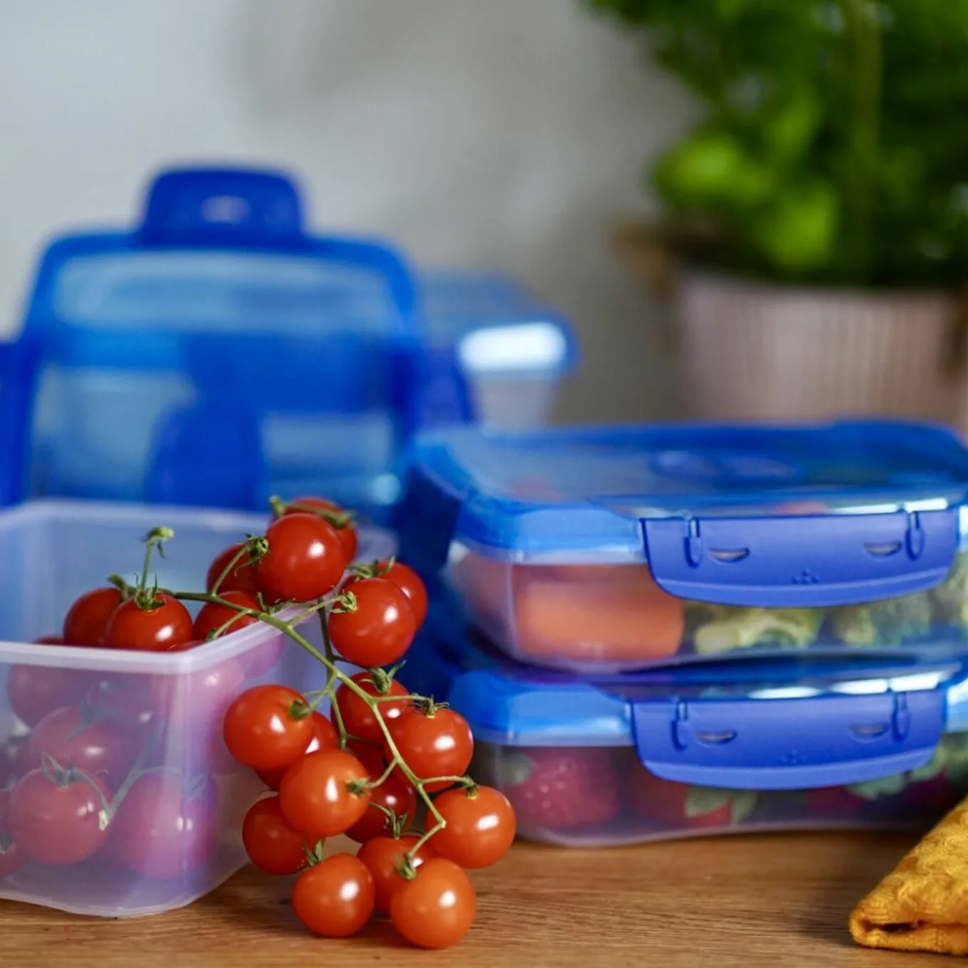 Pojemnik plastikowy na żywność Tadar ToGo 1 l